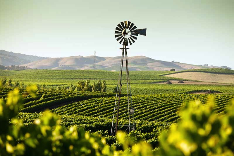 Activities Valley Orchards